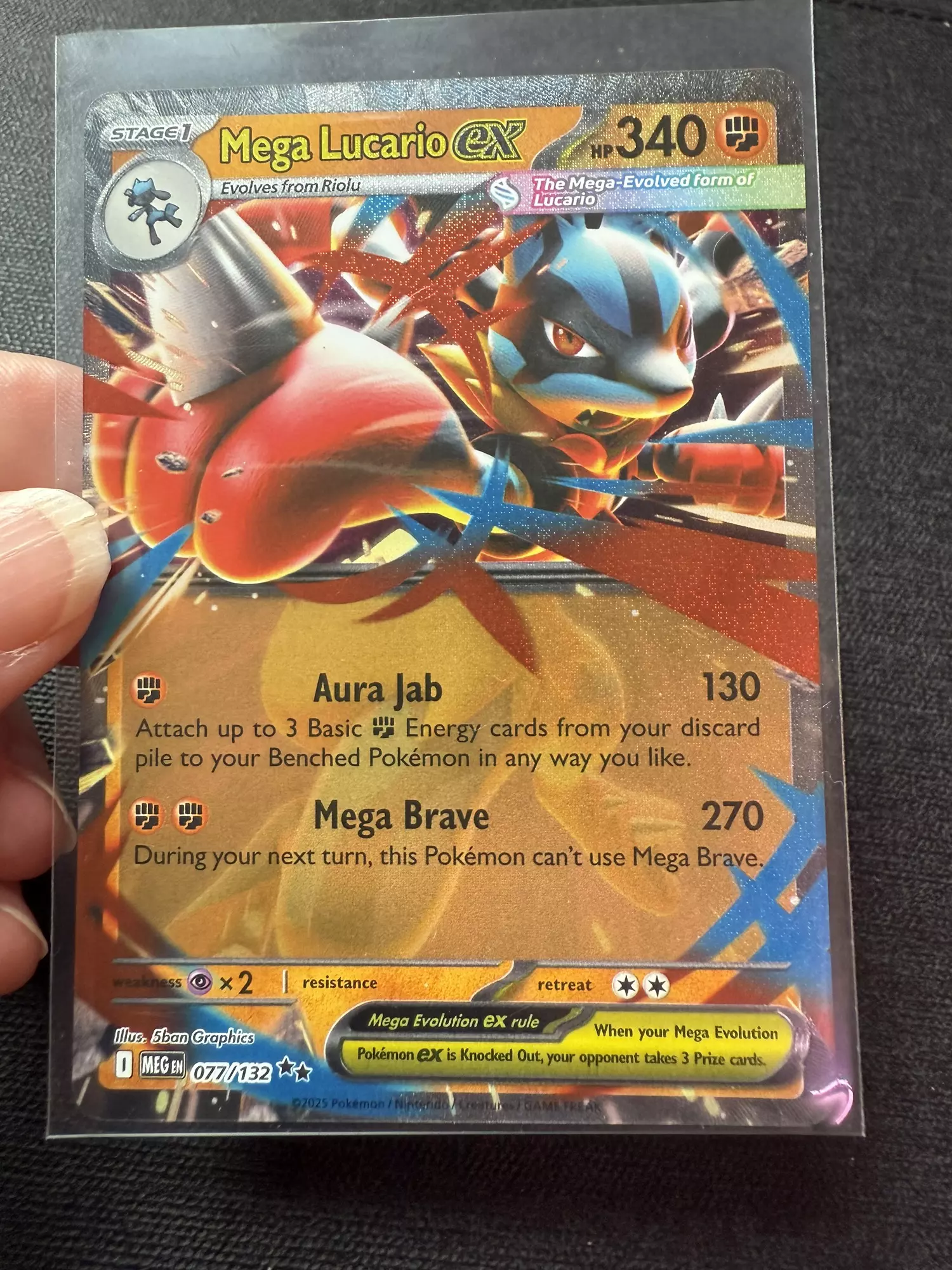 plant/Mega Lucario ex-0
