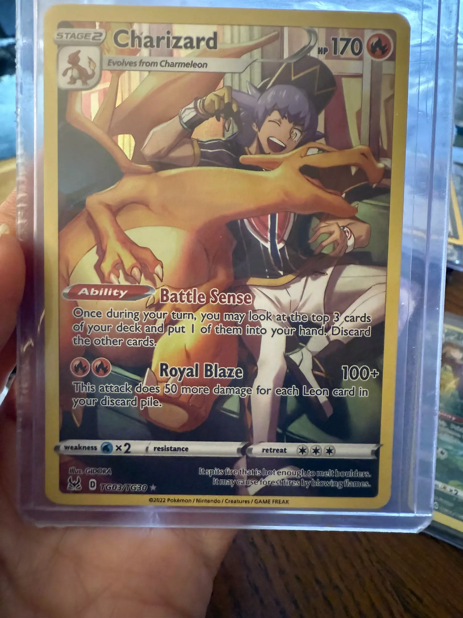 plant/Charizard trainer gallery -0