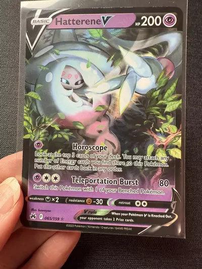 plant/Hatterene V-0-thumbnail