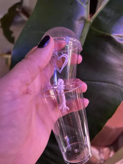 plant/Corm Cups-1-thumbnail