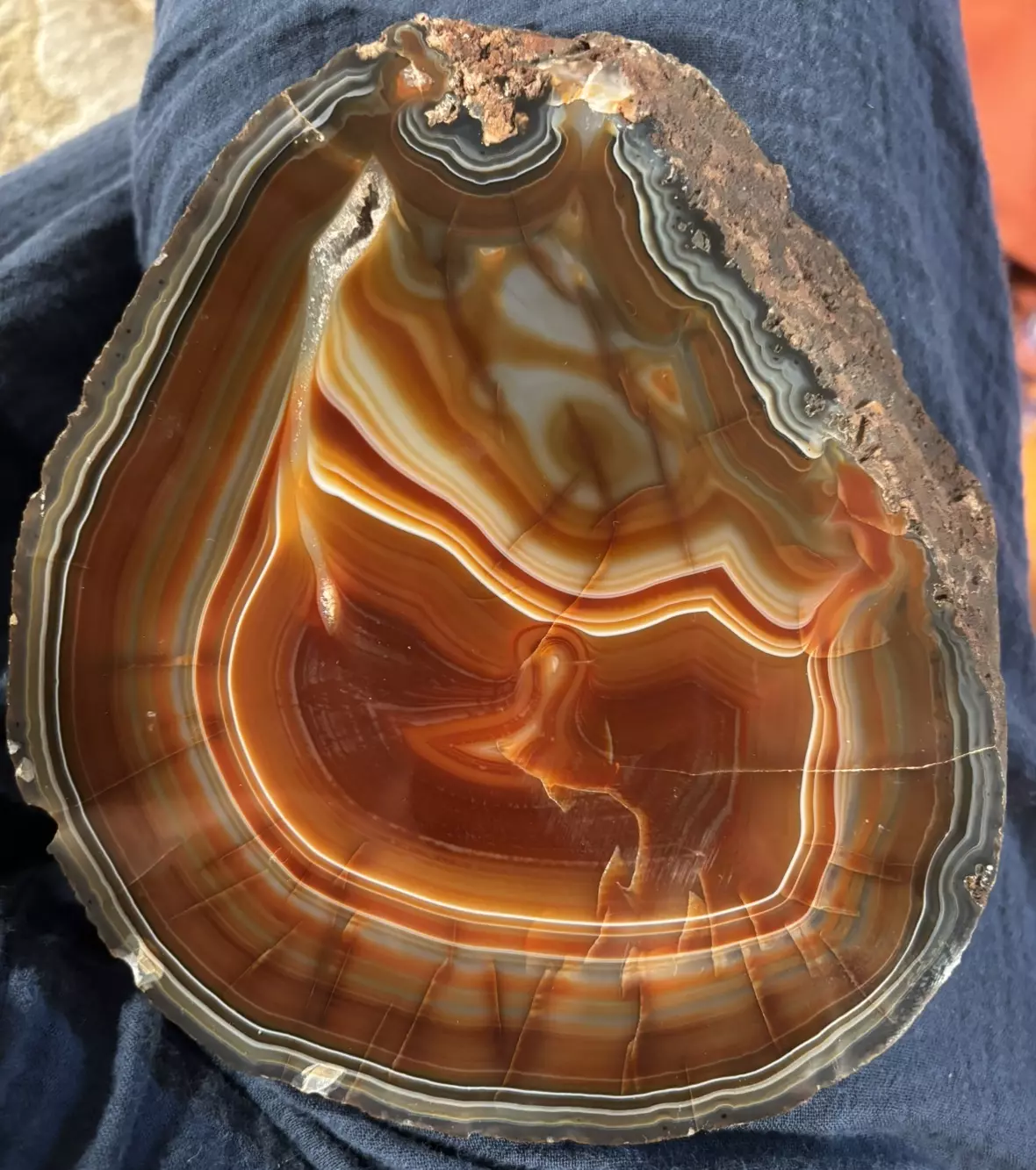 plant/Agate Slab-0