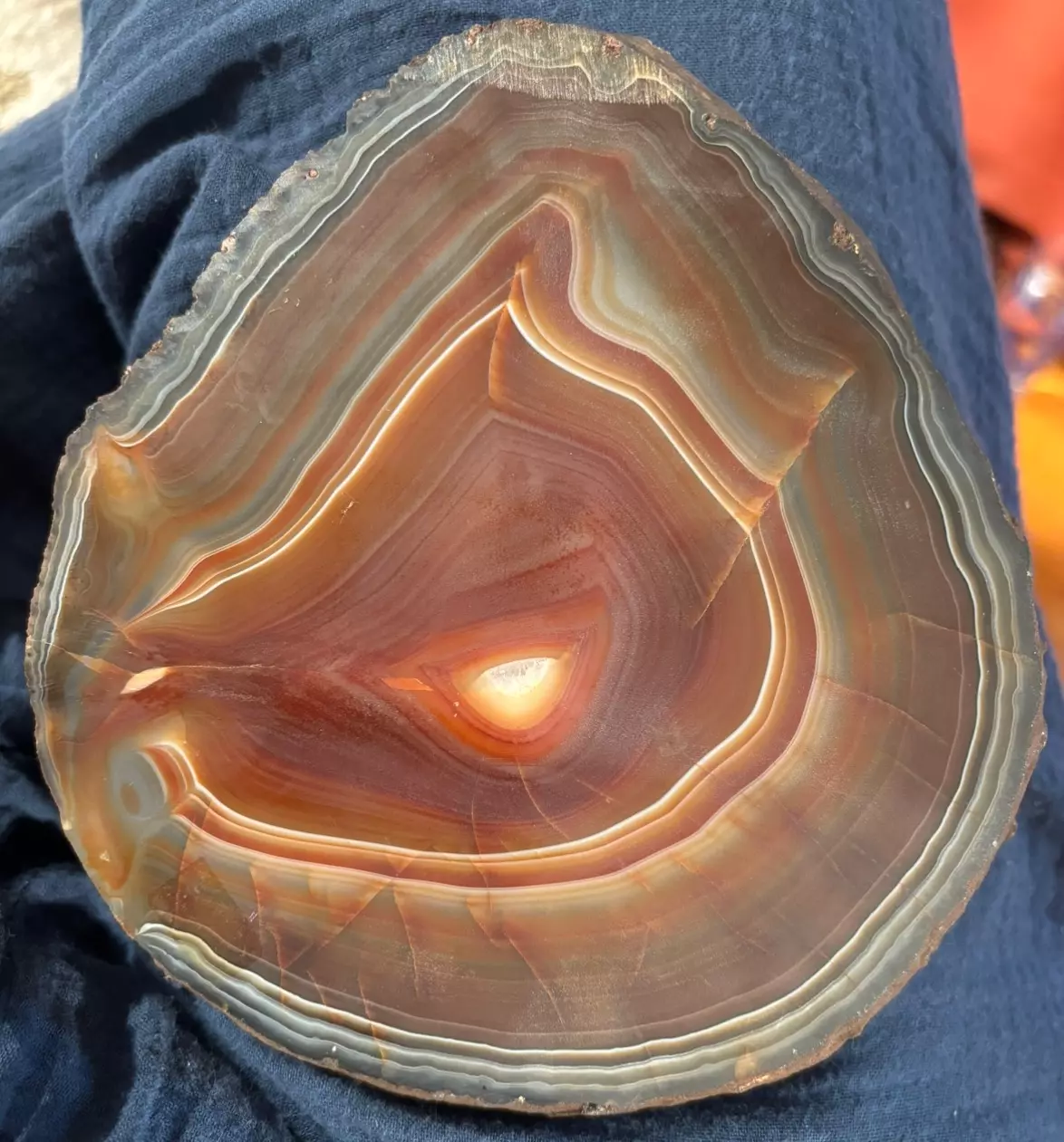 plant/Agate Slab-1