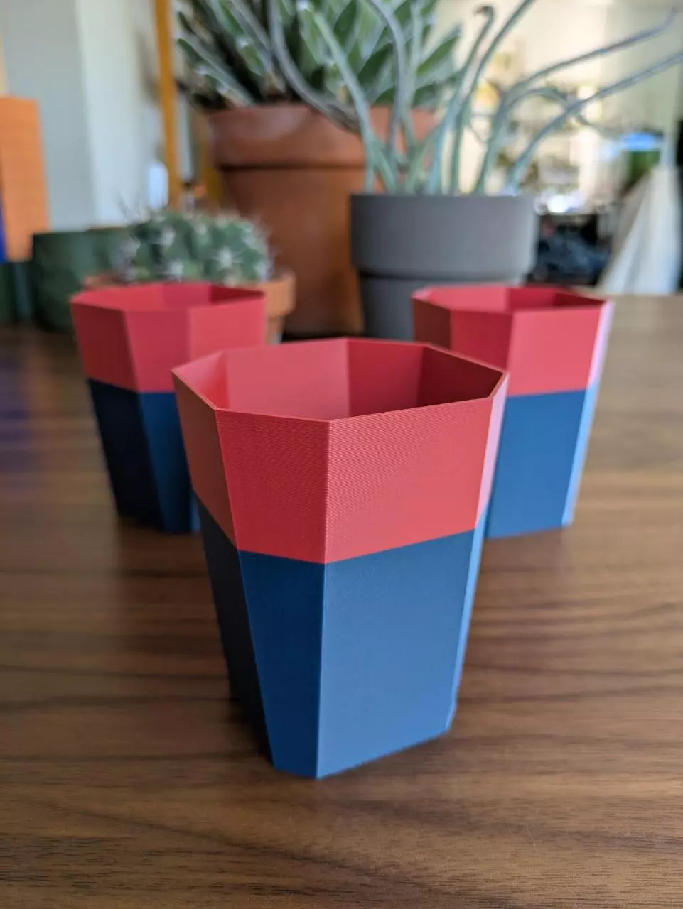 plant/Set of 3 - 2.5 x 3.6 in pots: Red/Navy-0