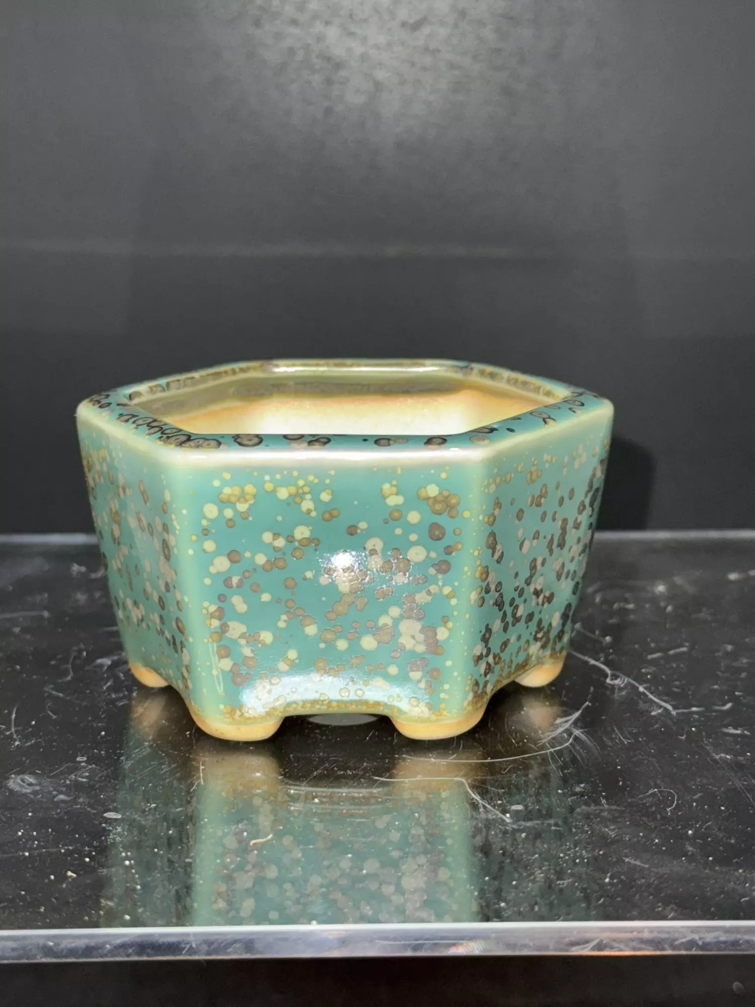 plant/Tiny “Mame” Bonsai Pot-0