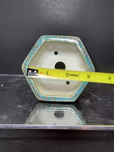 plant/Tiny “Mame” Bonsai Pot-1-thumbnail