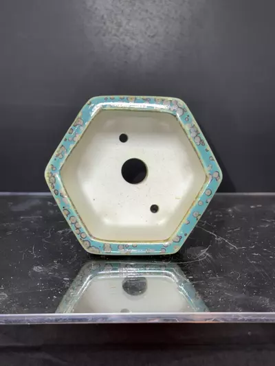 plant/Tiny “Mame” Bonsai Pot-2-thumbnail