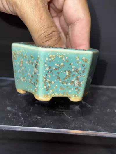 plant/Tiny “Mame” Bonsai Pot-3-thumbnail