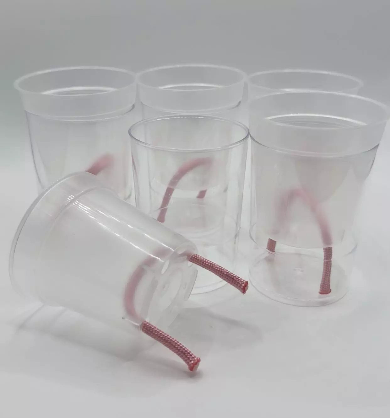 plant/2” Self Watering Pup Cups Set of 5-1