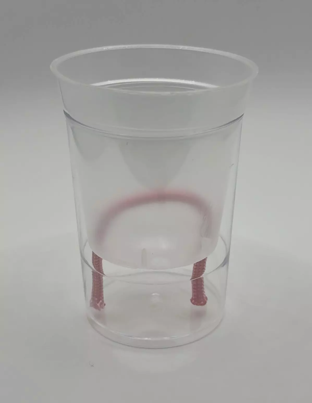 plant/2” Self Watering Pup Cups Set of 5-0