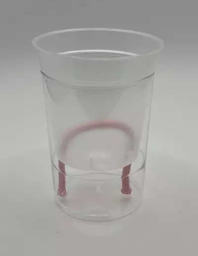 plant/2” Self Watering Pup Cups Set of 5-0-thumbnail