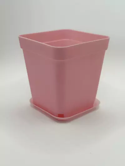 plant/3” Pink Pots Set of 5-0-thumbnail