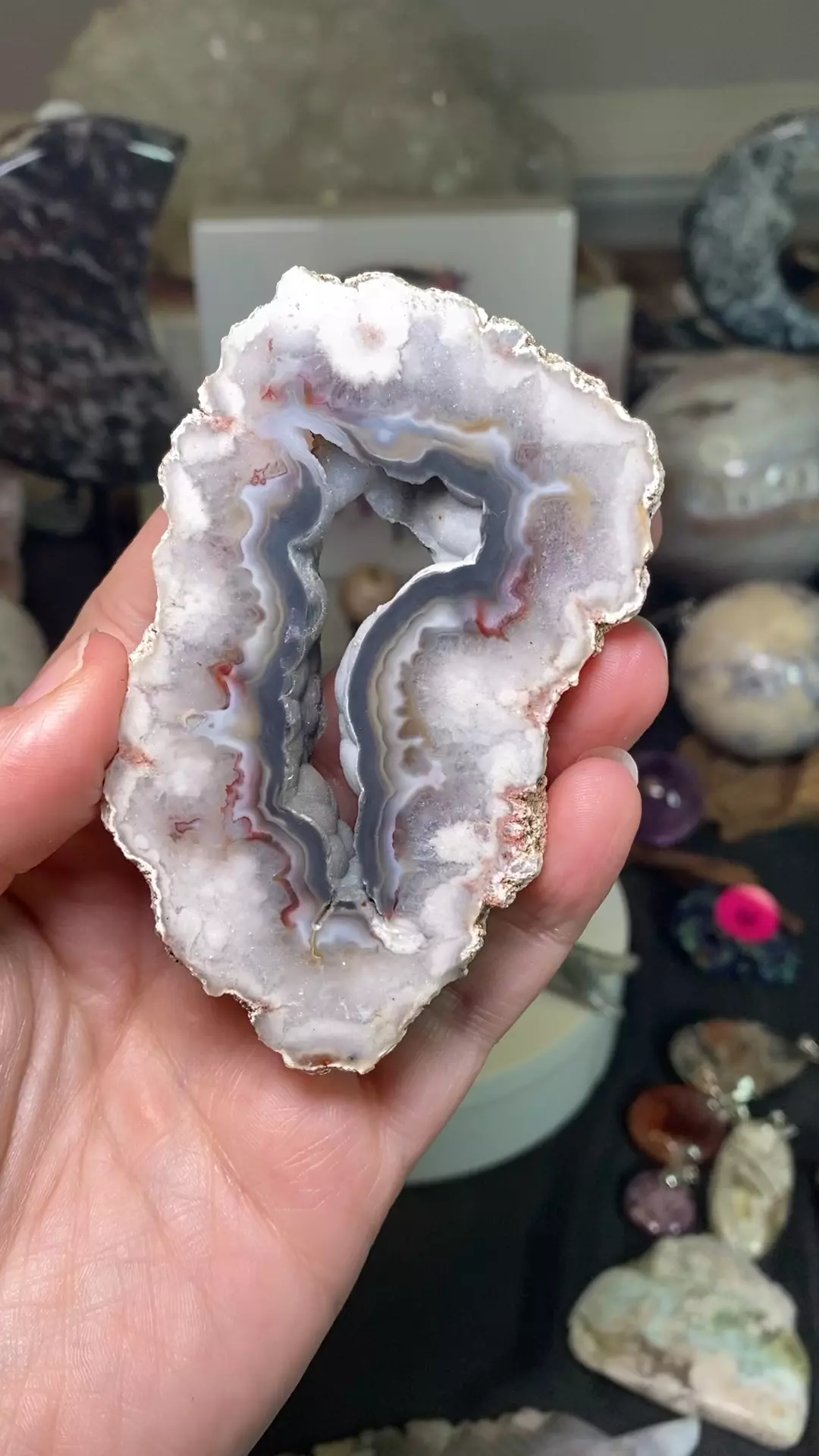 plant/Ocean Jasper slab -0