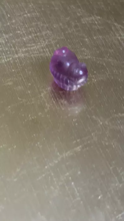 plant/Sleeping kitty-0-thumbnail