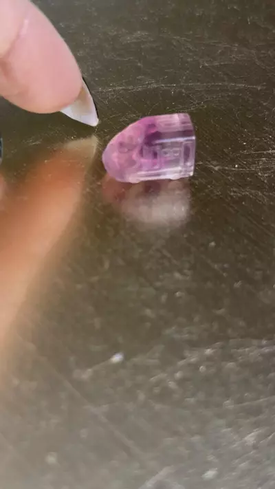 plant/Ghost bus-0-thumbnail