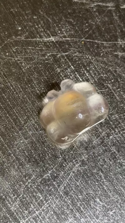 plant/Be-0-thumbnail