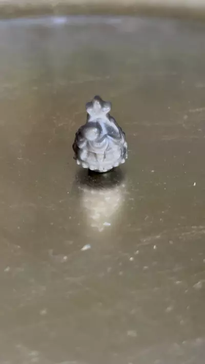 plant/Xmas 🎄 -0-thumbnail