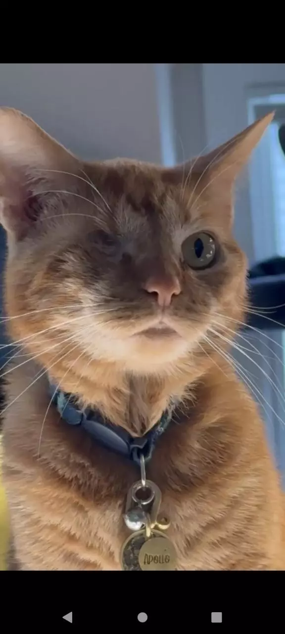 plant/ART PRINT SETS- MATCHING ART PRINT/STICKER/KEYCHAIN-0