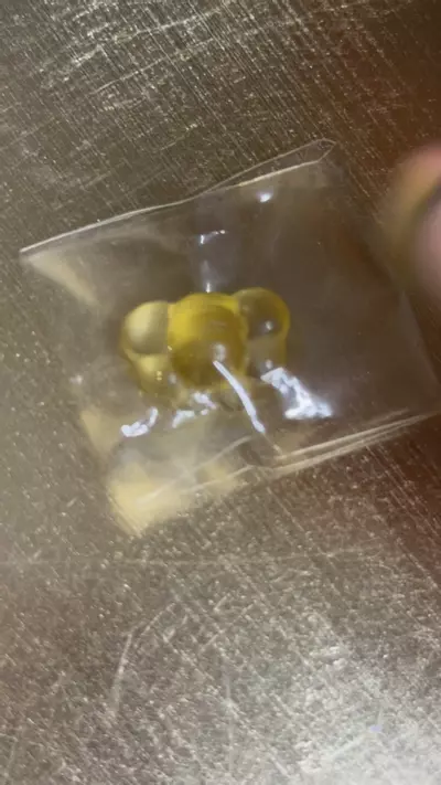 plant/Bee-0-thumbnail