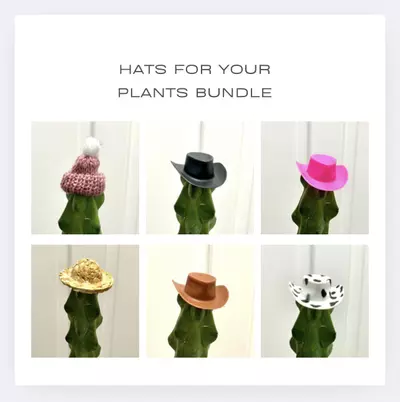 plant/Hats for your plants bundle (6 total)-0-thumbnail