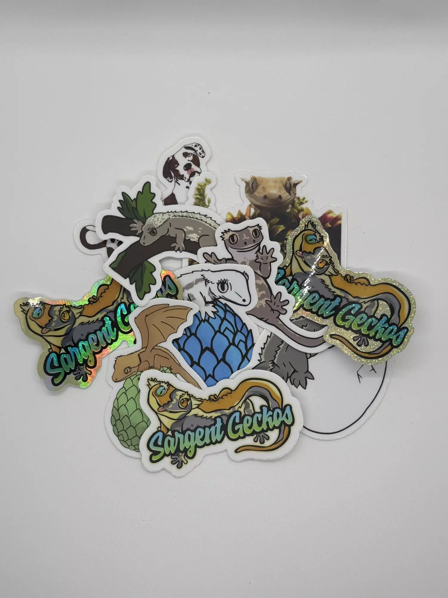 plant/Pack of Sargent Gecko Stickers-0