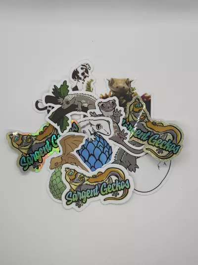 plant/Pack of Sargent Gecko Stickers-0-thumbnail