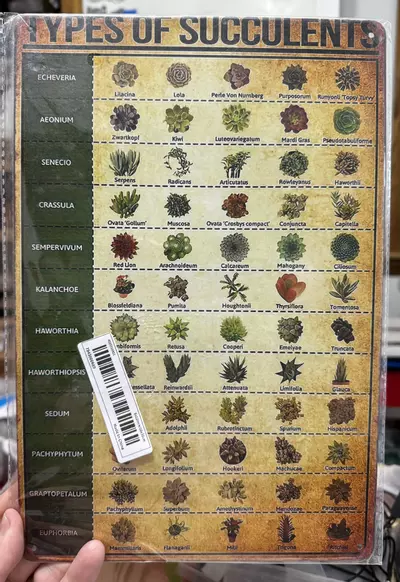 plant/Metal sign-0-thumbnail