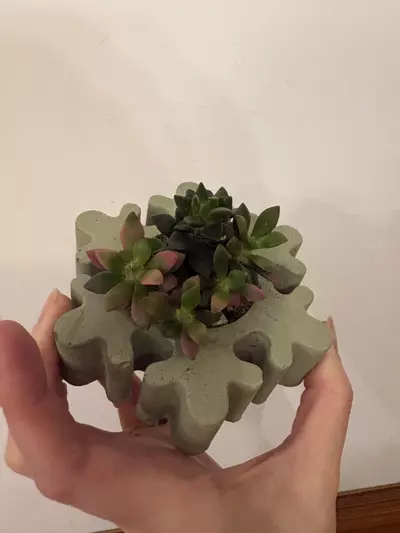 plant/Snowflake pot with succulent -0-thumbnail