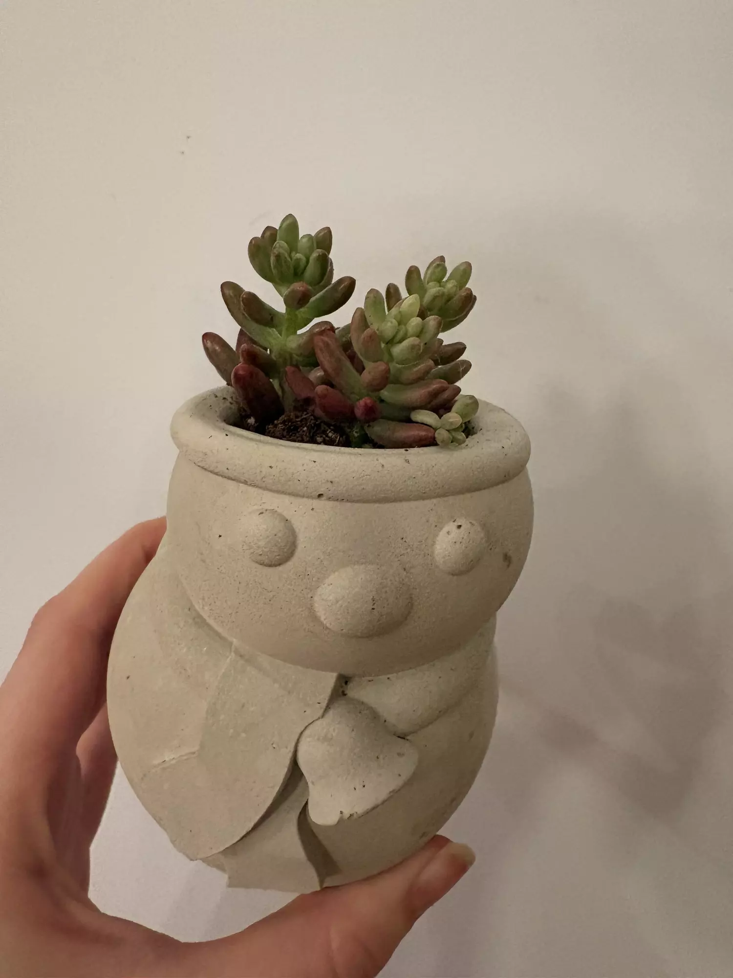 plant/Snowman pot with succulent -0
