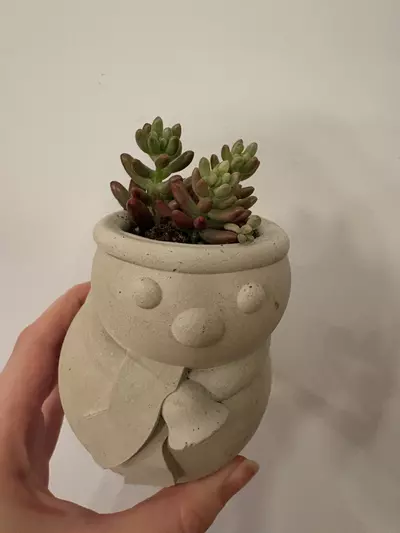 plant/Snowman pot with succulent -0-thumbnail