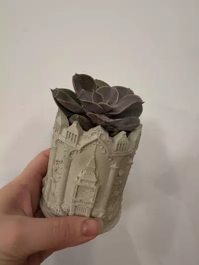 plant/Big Ben pot with succulent -0-thumbnail