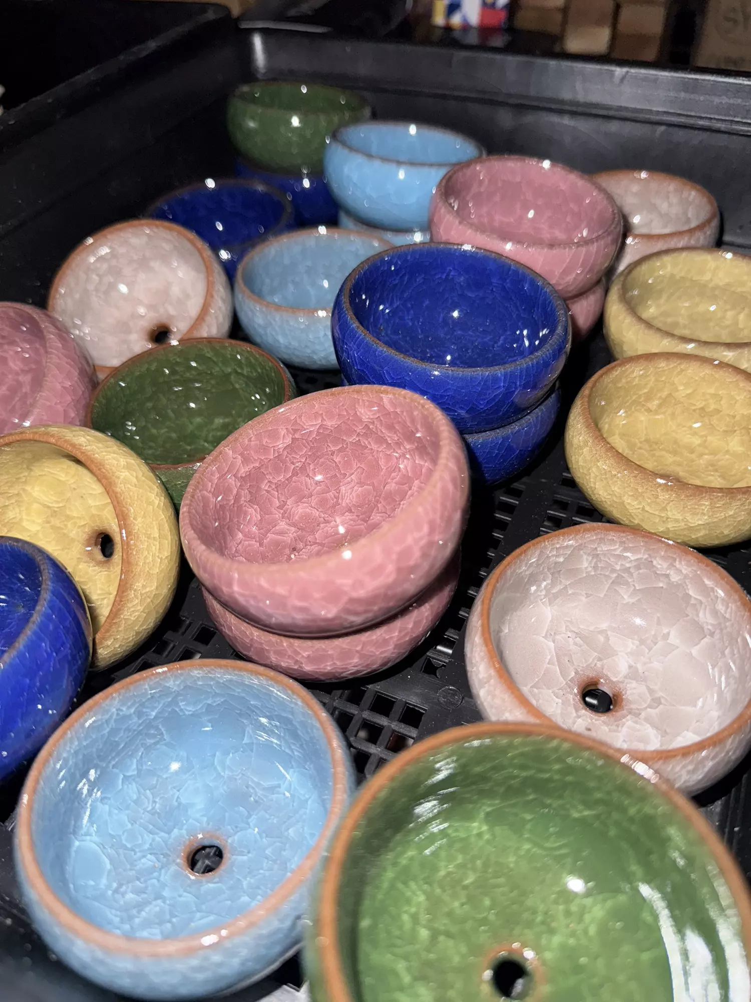 plant/Ceramics short (dealers choice)-0