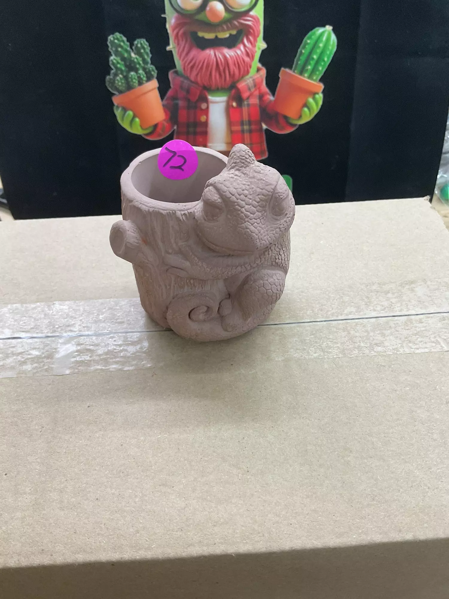 plant/72 chameleon -0