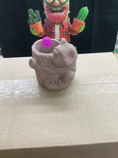 plant/72 chameleon -0-thumbnail