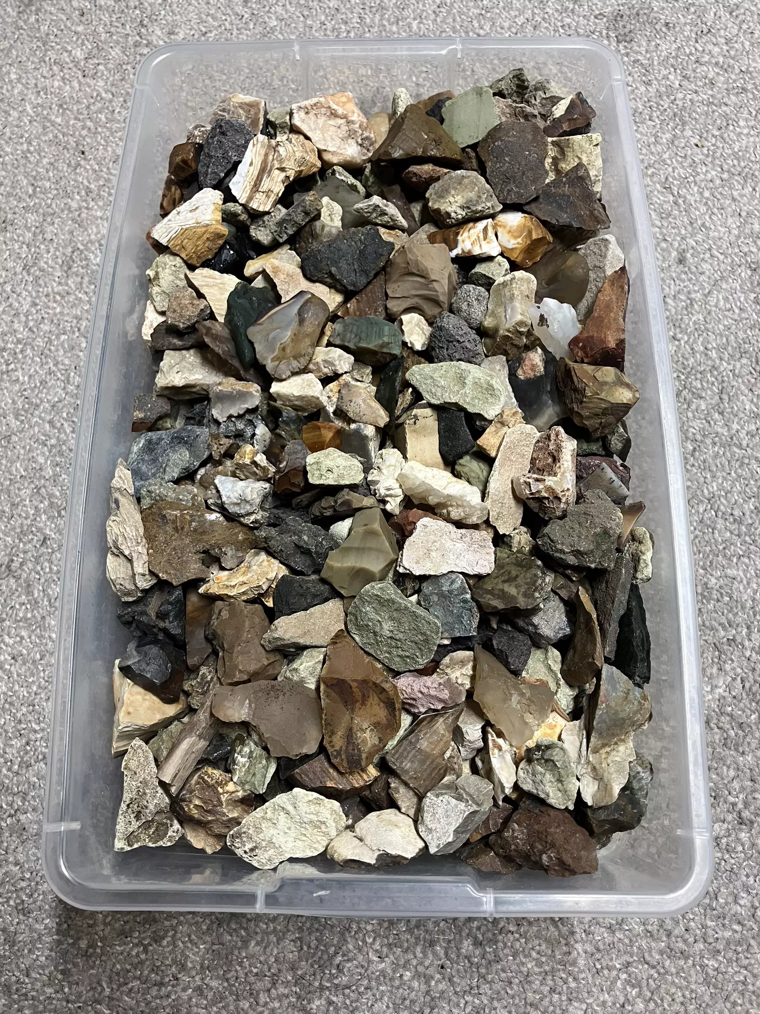 plant/Mixed Assortment of Rocks - 15.4lb-0