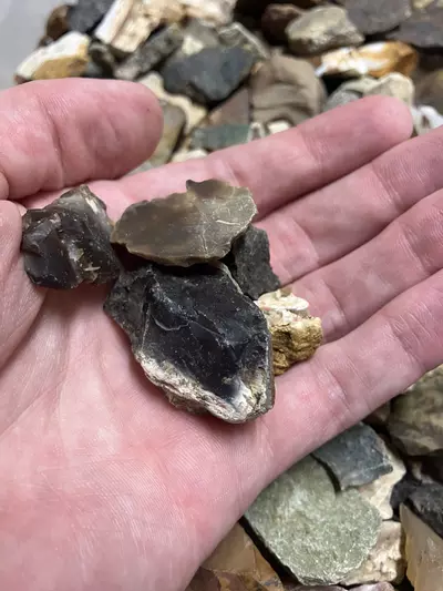 plant/Mixed Assortment of Rocks - 15.4lb-2-thumbnail