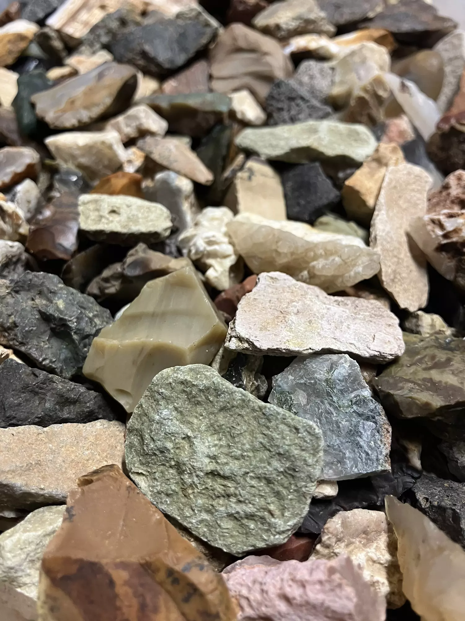 plant/Mixed Assortment of Rocks - 15.4lb-1