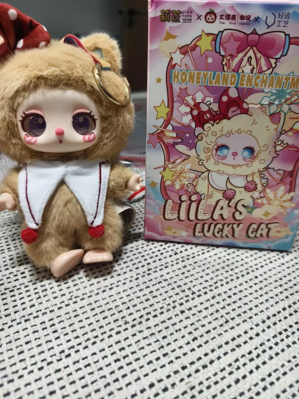 plant/Caramel Cocoa-Liila Dian Dian Cat V3 Generation Plush Blind Box-0