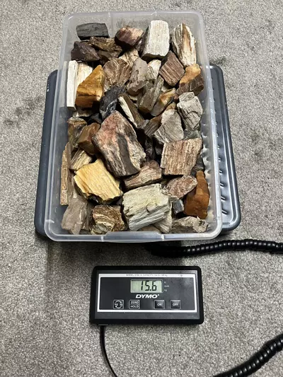 plant/Mixed Assortment of Petrified Wood - 15.6lb-3-thumbnail