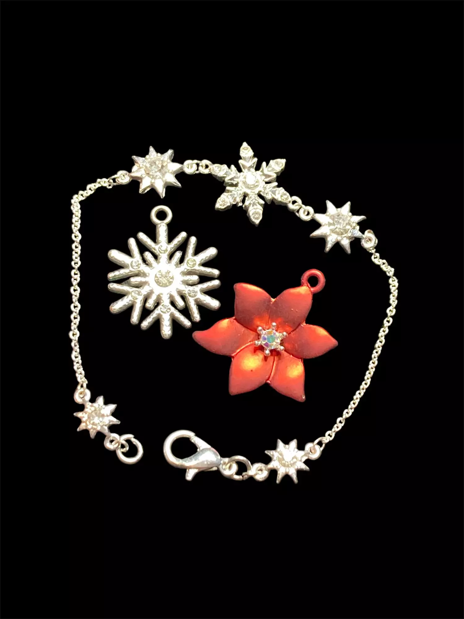 plant/Holiday bundle-0