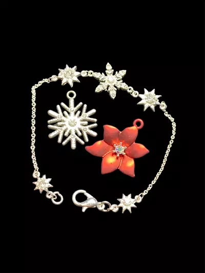 plant/Holiday bundle-0-thumbnail