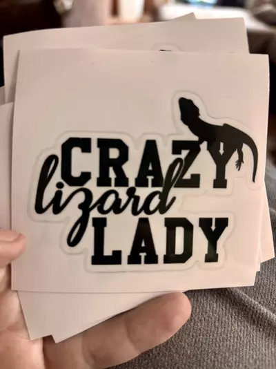 plant/Crazy Lizard Lady-0-thumbnail