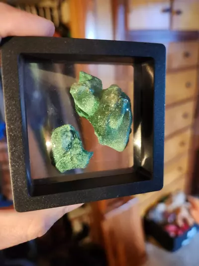 plant/🔮Beautiful Velvet Malachite🔮-1-thumbnail