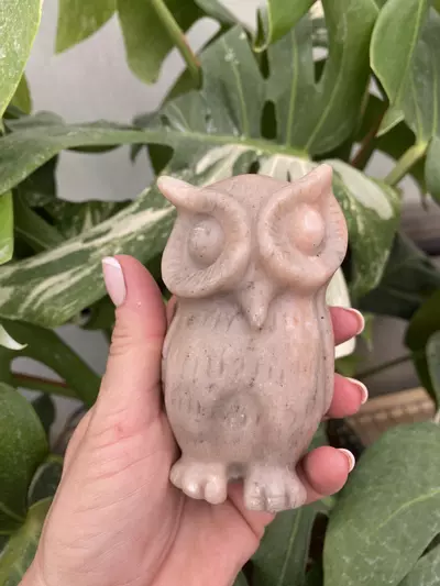 plant/PSS-0274 Jasper Owl-0-thumbnail