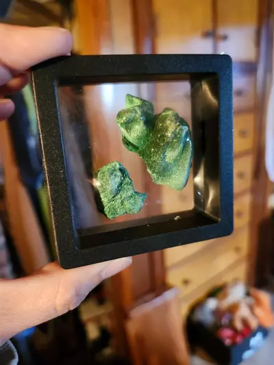 plant/🔮Beautiful Velvet Malachite🔮-2-thumbnail