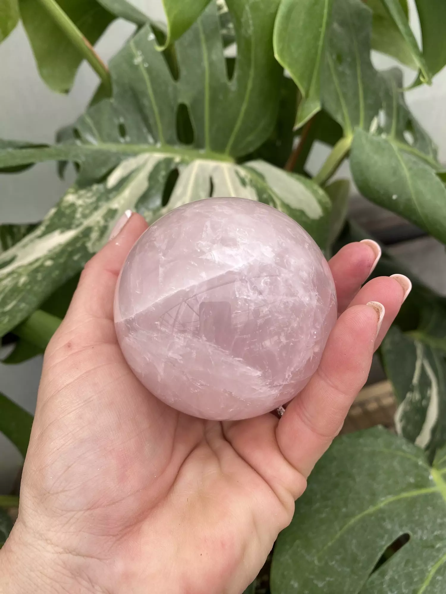 plant/PSS-0269 Rose Quartz Sphere-0