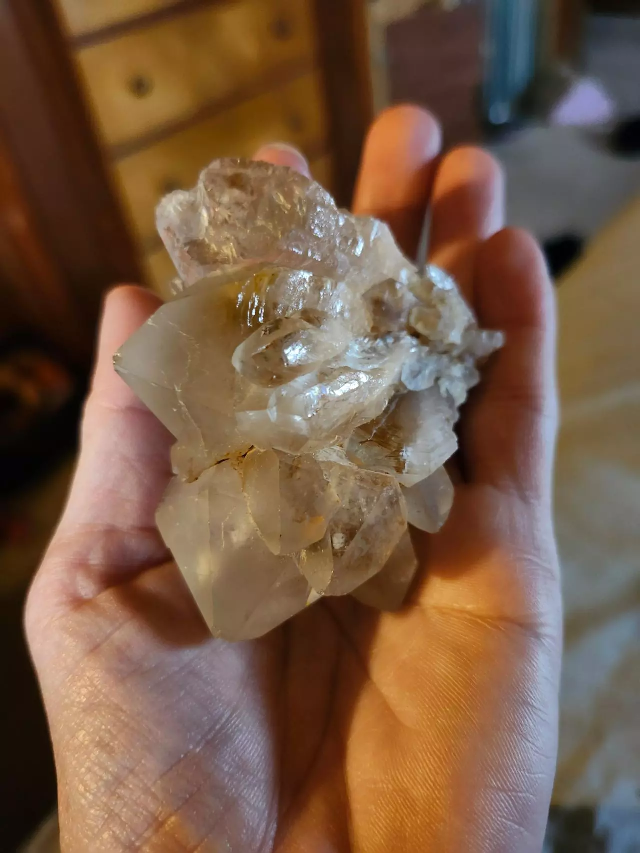 plant/🔮Natural Quartz Cluster🔮-1