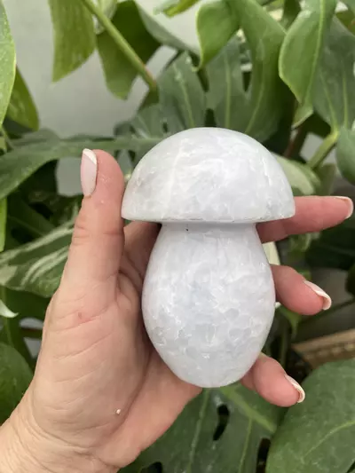 plant/PSS-0281 Blue Calcite Mushroom -0-thumbnail