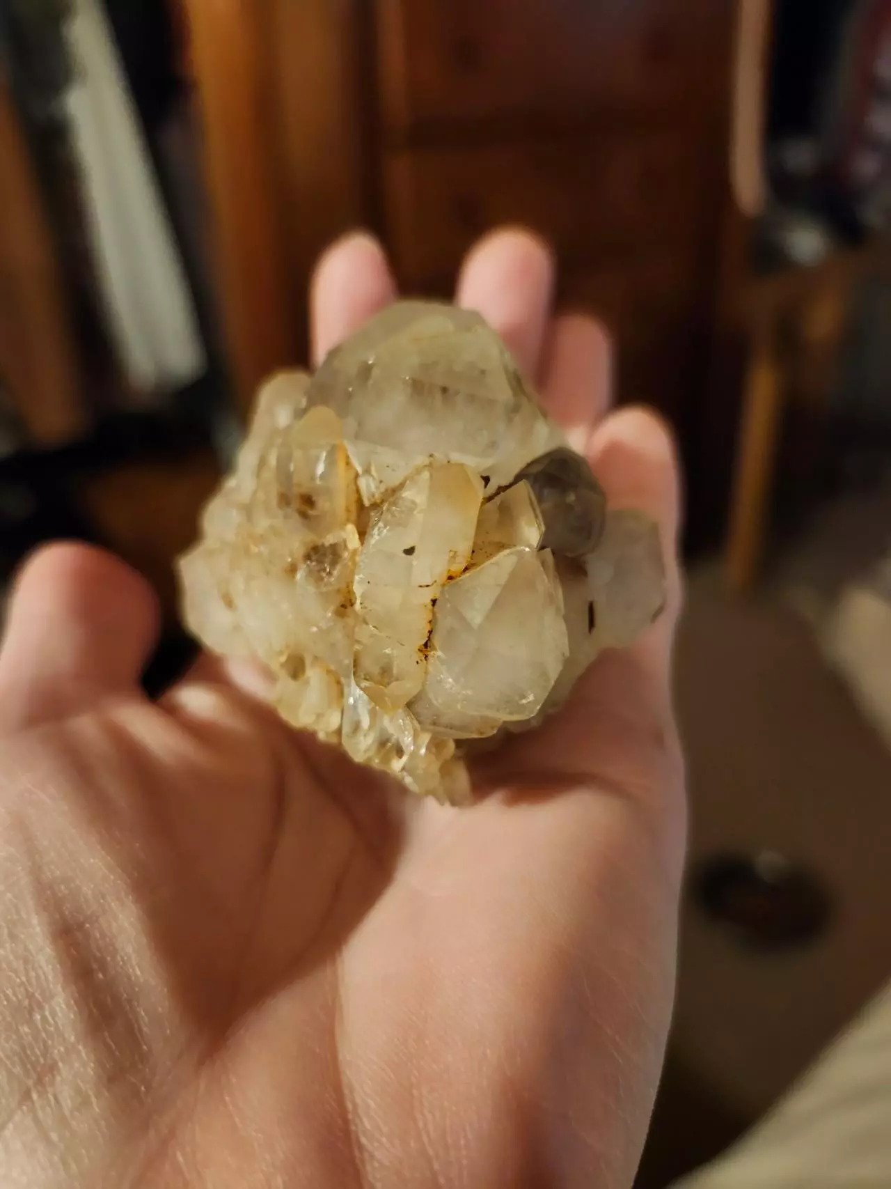 plant/🔮Natural Quartz Cluster🔮-1