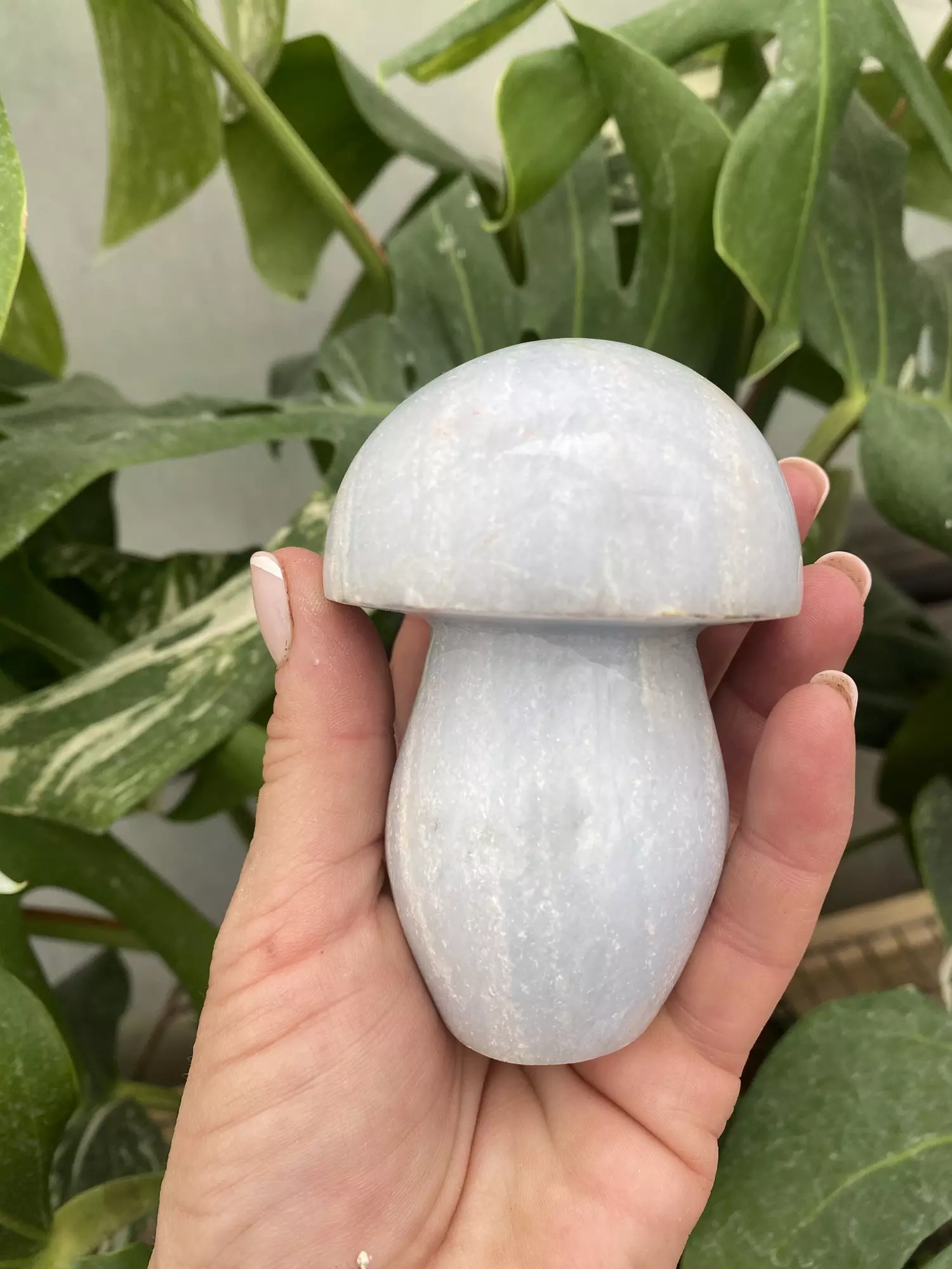 plant/PSS-0280 Blue Calcite Mushroom -0
