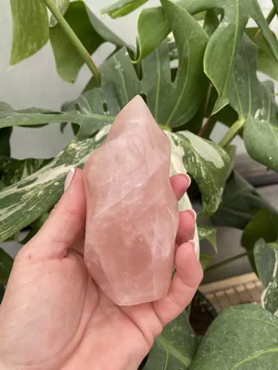 plant/PSS-0275 Rose Quartz Flame-0-thumbnail